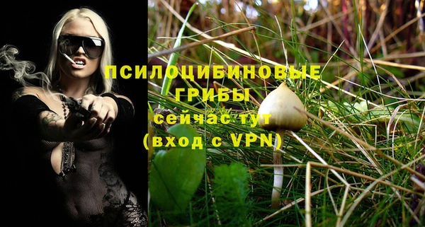 винт Алзамай