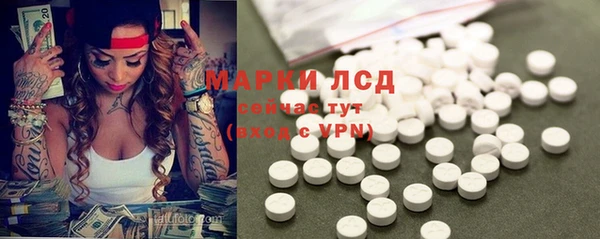 винт Алзамай