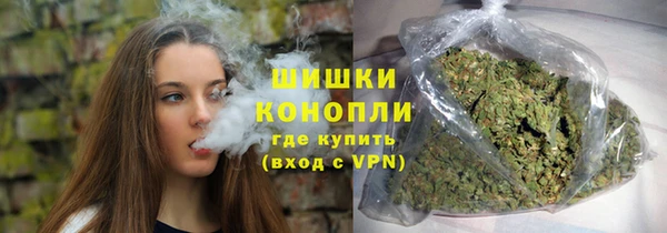 ГАЛЛЮЦИНОГЕННЫЕ ГРИБЫ Алексеевка