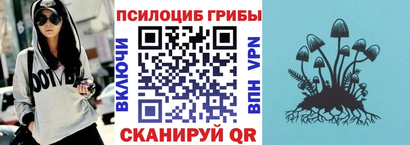 ОМГ ОМГ   Крымск  Галлюциногенные грибы мицелий  как найти наркотики 