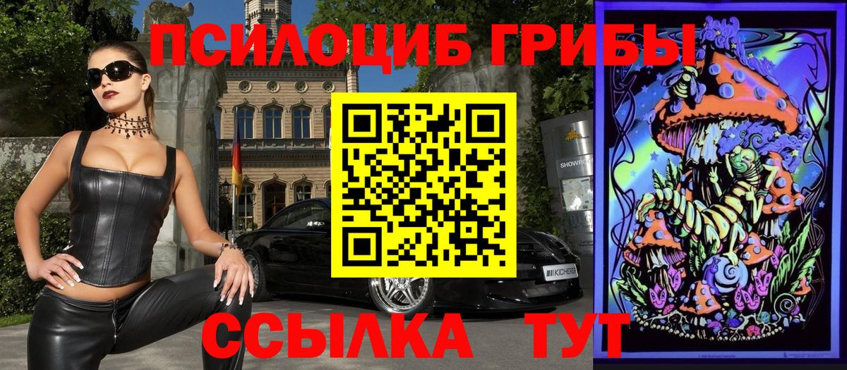Псилоцибиновые грибы Psilocybe Крымск